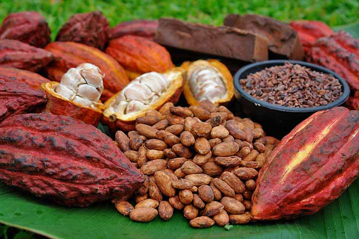 Sector cacao registra crecimiento en exportaciones Managua. Radio La Primerísima