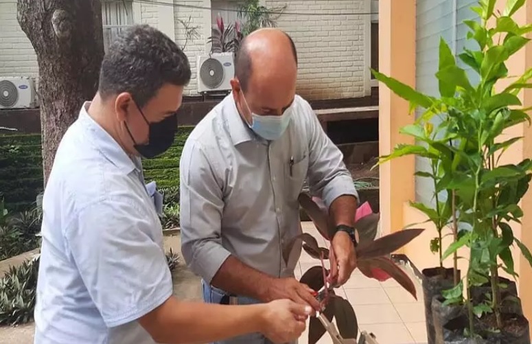 Trabajan para lograr mejores producciones y cultivos resistentes a plagas Managua. Radio La Primerísima