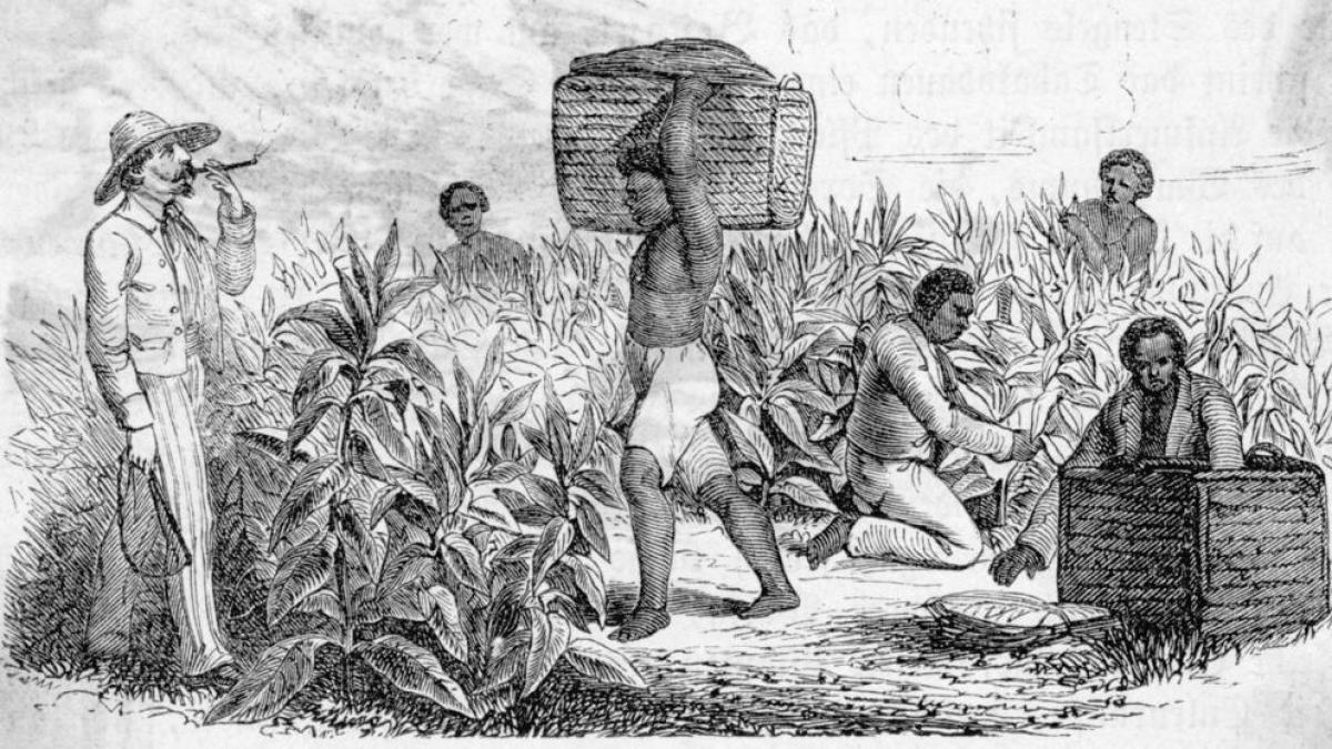 Capitalismo se erigió sobre el genocidio y los esclavos en América Por Jorge Molina Araneda | Agencia ALAI, Ecuador