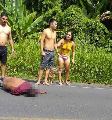 Atropellan a pinolero en una carretera en Costa Rica Limón. Diario Extra