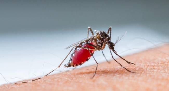 Reportan aumento de casos de malaria en Siuna Managua Jerson Dumas/Radio La Primerísima