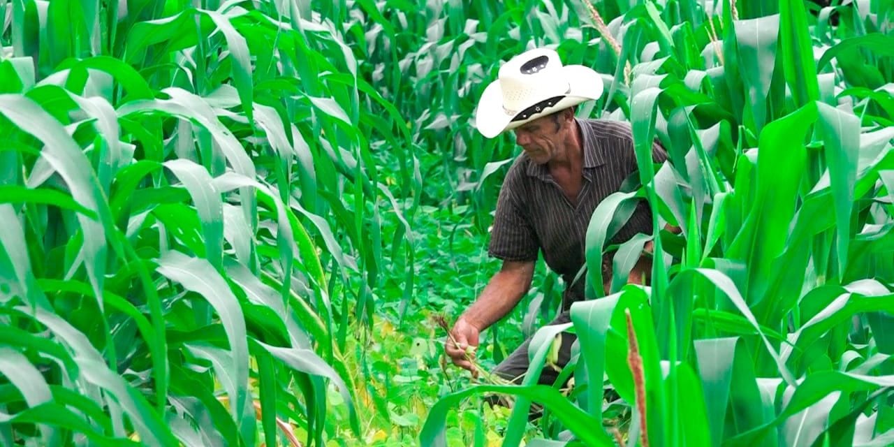 Entregan financiamiento a pequeños productores Managua. Wiston López/Radio La Primerísima