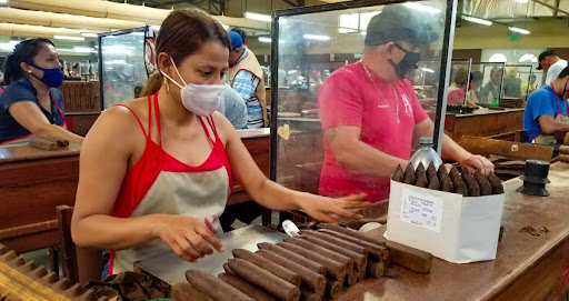 Incrementa producción y empleo en sector tabacalero Managua. Liberth González/Radio La Prímerísima