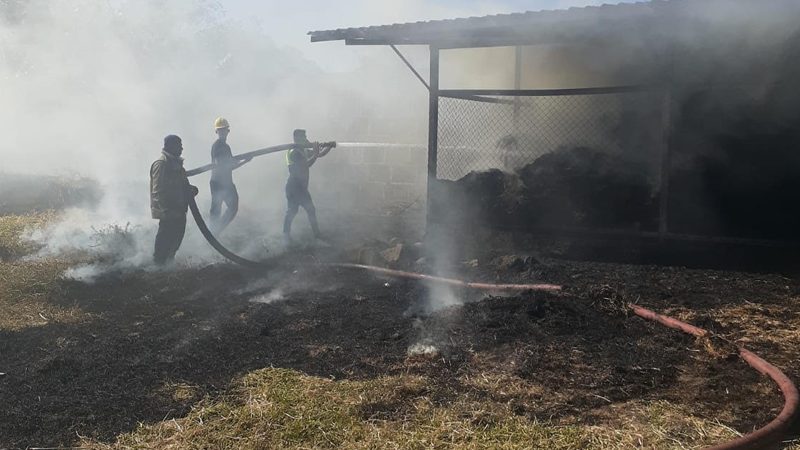 Incendio consume bodega repleta de alimento para caballos en el norte Managua. Radio La Primerísima
