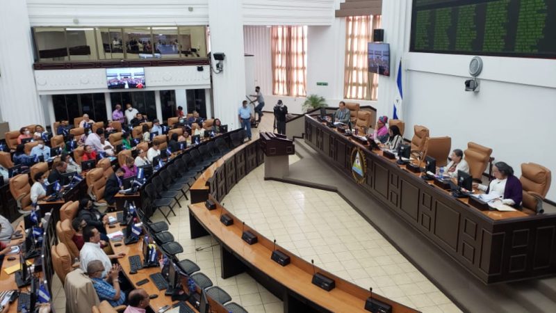 Asamblea cambia de régimen a ONG´s que actuaban como empresas Managua. Danielka Ruíz/Radio La Primerísima