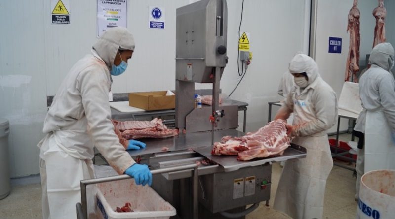 Producción de carne de cerdo con tendencia a crecer en Matadero en Los Brasiles Managua. Radio La Primerísima