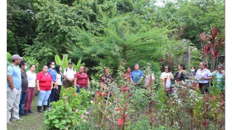 Organizan Concurso Jardines de Mi Pueblo en municipio San Ramón Managua. Radio La Primerísima