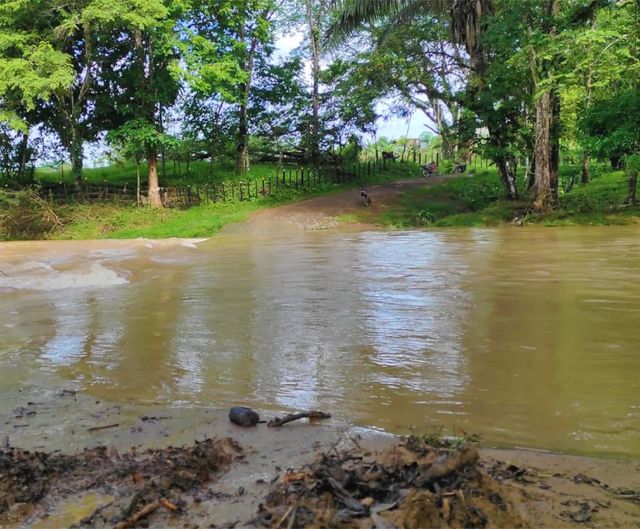Al menos seis muertos tras el paso de la tormenta tropical Managua. Radio La Primerísima