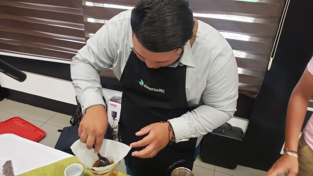 Café de Nueva Segovia con excelentes resultados en subasta electrónica Managua. Danielka Ruíz, Radio La Primerísima