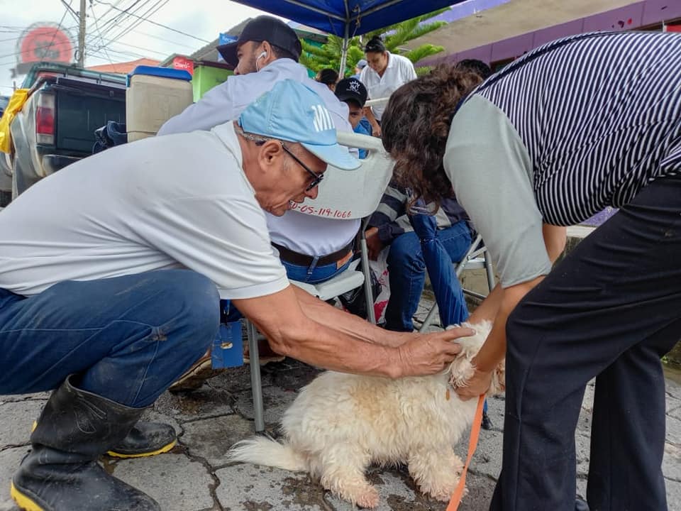 Llevan vacunados más de 9 mil canes en Siuna Siuna. Radio Uraccan Siuna