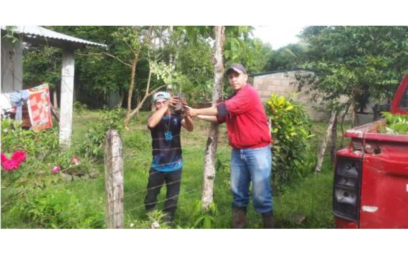 Entregan plantas a productores matagalpinos para fortalecer reforestación Managua. Radio La Primerísima