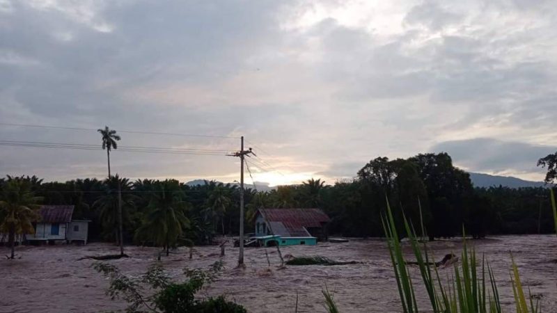 Se desborda río Ulúa y provoca inundaciones en Honduras Tegucigalpa. La Prensa.hn