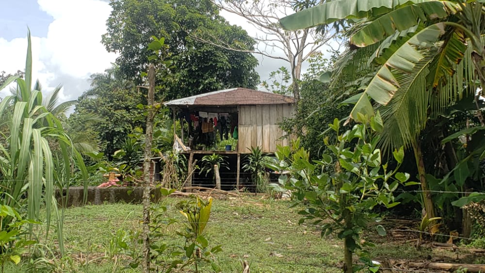 Construirán viviendas para familias de escasos recursos en El Rama Managua. Danielka Ruíz, Radio La Primerísima