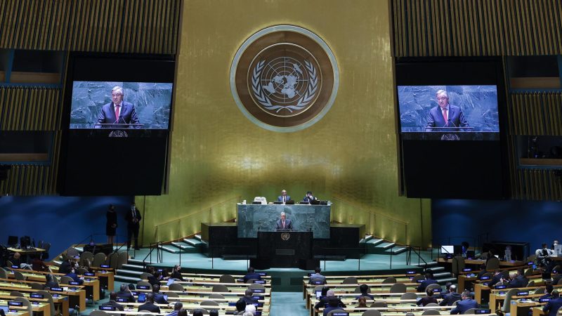 Naciones Unidas, democracia y terrorismo Por Stephen Sefton. Radio La Primerísima