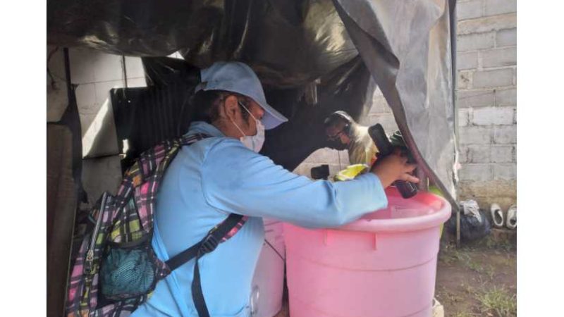 Sigue batalla contra zancudos transmisores del dengue, zika y chikungunya Managua. Radio La Primerísima