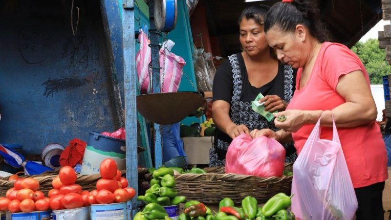 Banco Mundial reconoce sostenido crecimiento económico del país Managua. Informe Pastrán