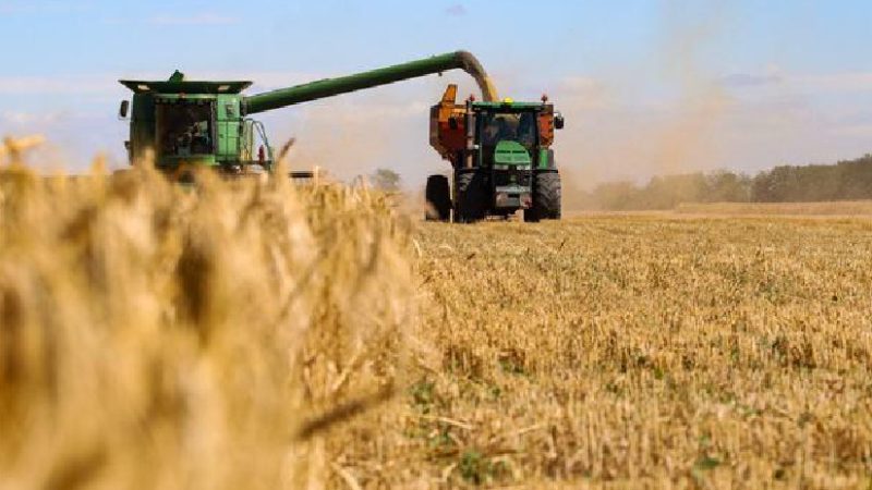 Rusia elevará cosecha de cereales con incorporación de nuevas regiones Moscú. Agencias