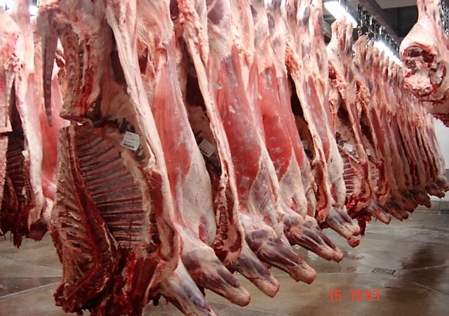 Aumenta producción de carne de cerdo Managua. Radio La Primerísima