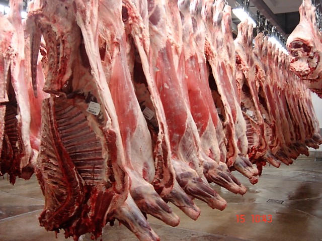 Aumenta producción de carne de cerdo Managua. Radio La Primerísima