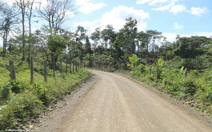 Rehabilitan carretera productiva en Siuna Managua. Radio La Primerísima 