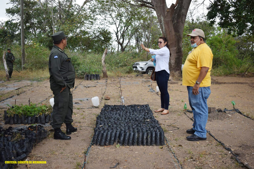 Fortalecen campaña de reforestación en Juigalpa Managua. Radio La Primerísima
