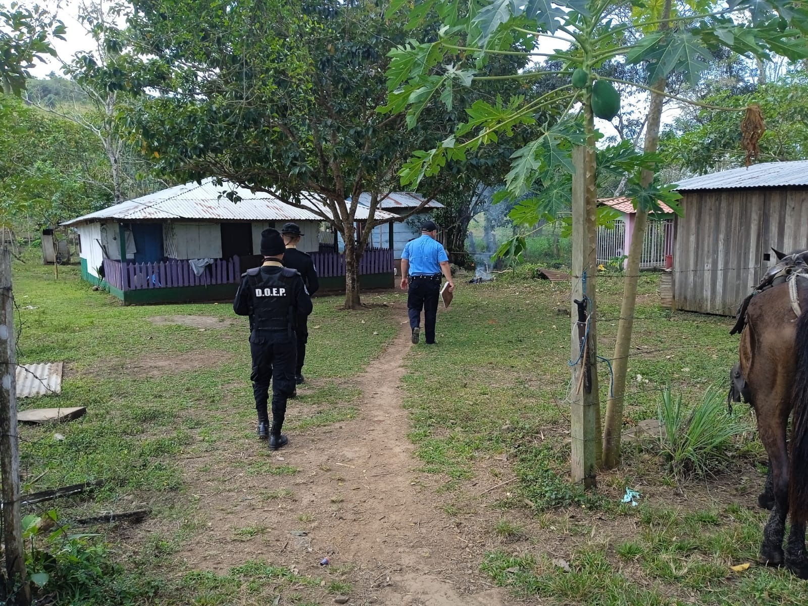 Policía fortalece plan de seguridad en el campo Managua. Jerson Dumas, Radio La Primerísima