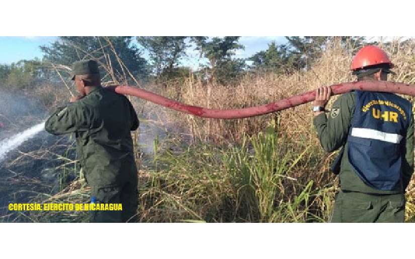 Militares apoyan extinción de 116.2 hectáreas de bosque y malezas Managua. Radio La Primerísima