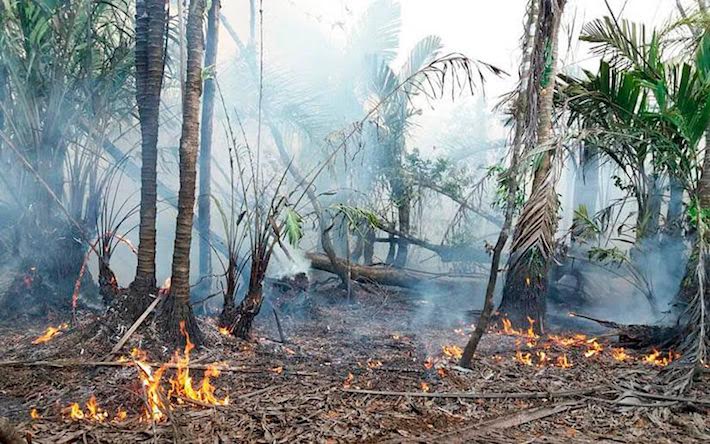 Existen condiciones favorables para incendios forestales, dicen expertos Managua. Radio La Primerísima