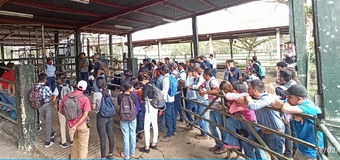 Centros técnicos inician clases en modalidad fin de semana Managua. Radio La Primerísima   