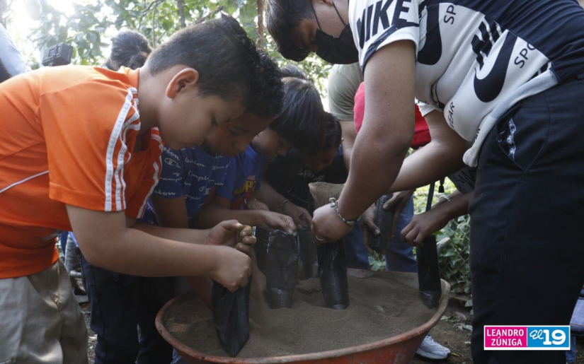 Menores aprenden sobre importancia de los viveros forestales Managua. Radio La Primerísima